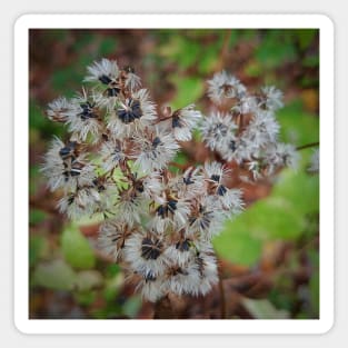 Flower Heart Magnet